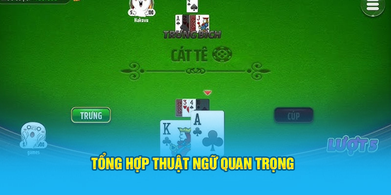 Hướng Dẫn Cách Chơi Bài Cát Tê Tại HI88 Dành Cho Tân Thủ - hình ảnh - hi88jl.com
